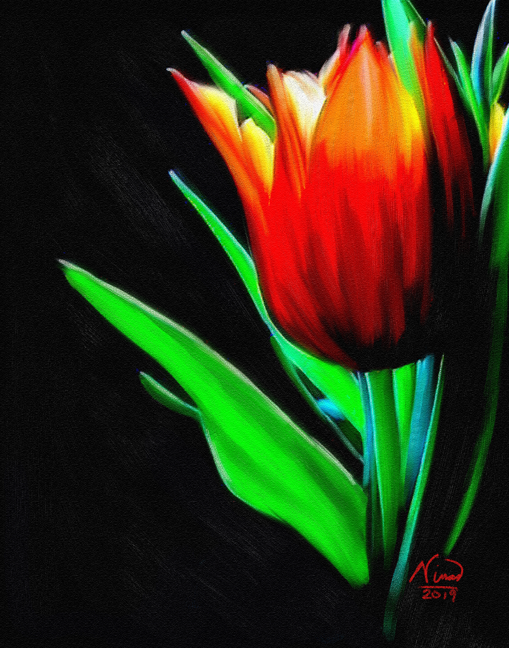 Tulip deco pastel 1